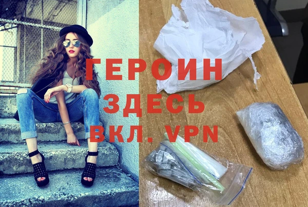 прущие грибы Гусиноозёрск