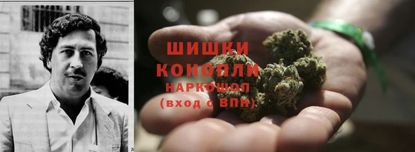 прущие грибы Гусиноозёрск