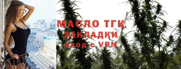 прущие грибы Гусиноозёрск