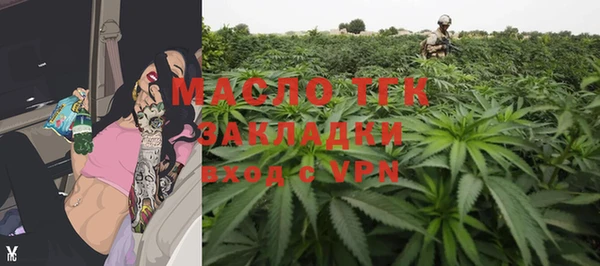 прущие грибы Гусиноозёрск