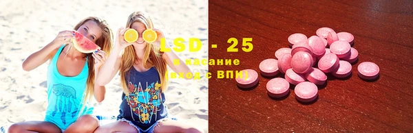 прущие грибы Гусиноозёрск
